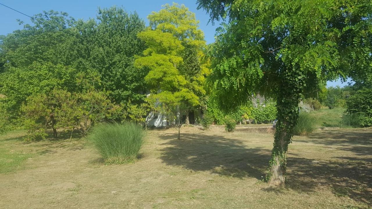 Kuca Za Odmor Stepanicevac 44 Aljmas Экстерьер фото