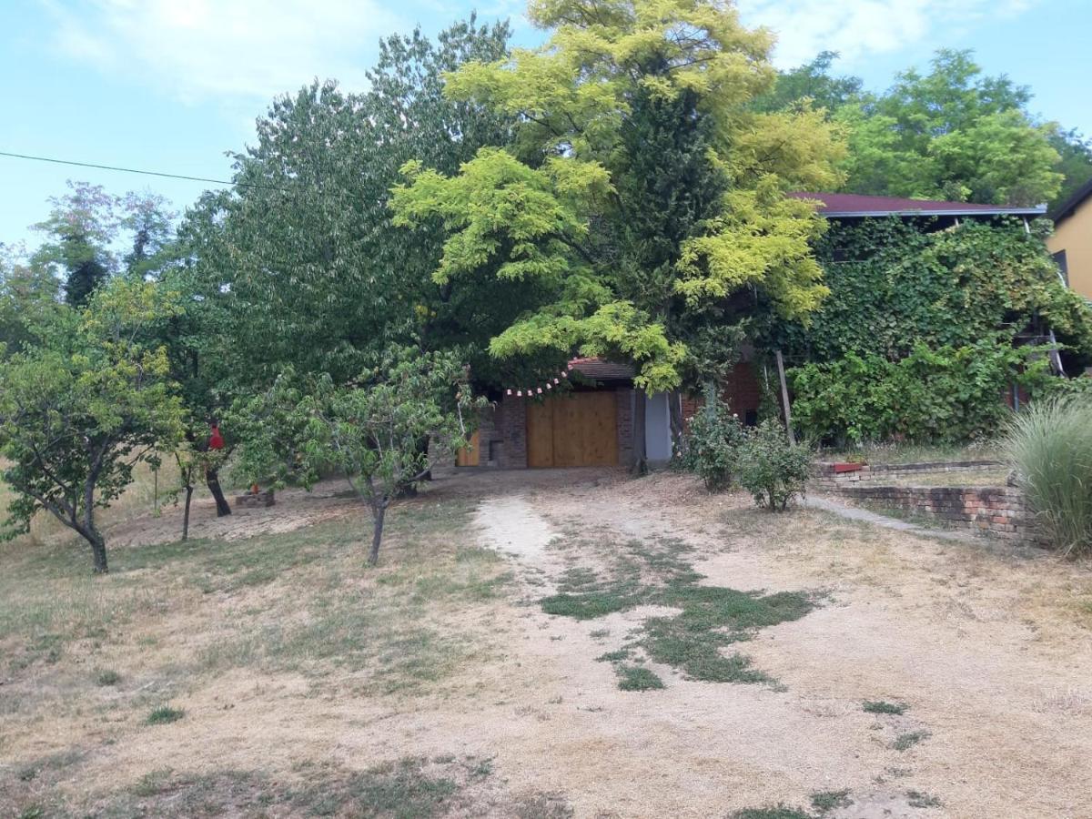 Kuca Za Odmor Stepanicevac 44 Aljmas Экстерьер фото