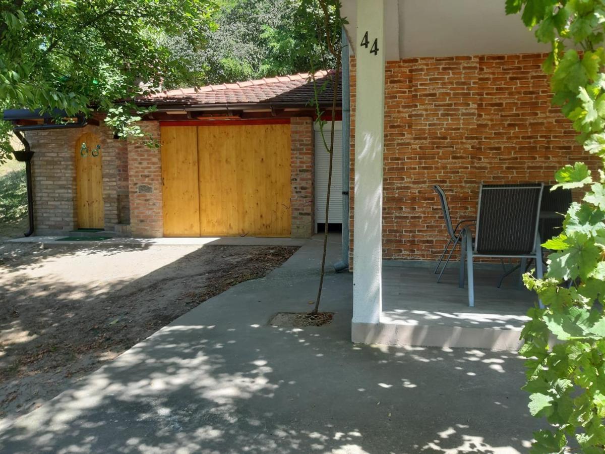 Kuca Za Odmor Stepanicevac 44 Aljmas Экстерьер фото