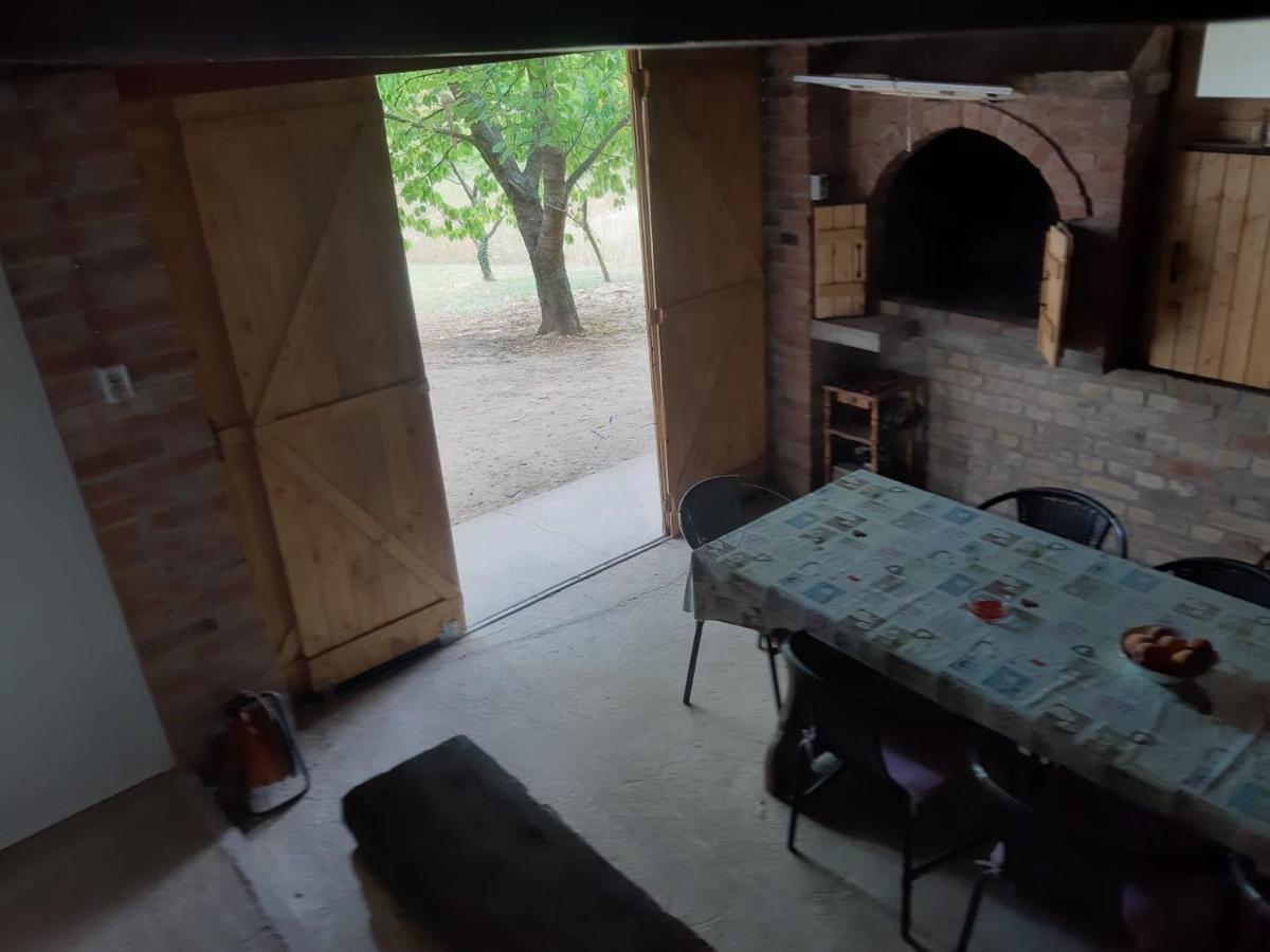 Kuca Za Odmor Stepanicevac 44 Aljmas Экстерьер фото
