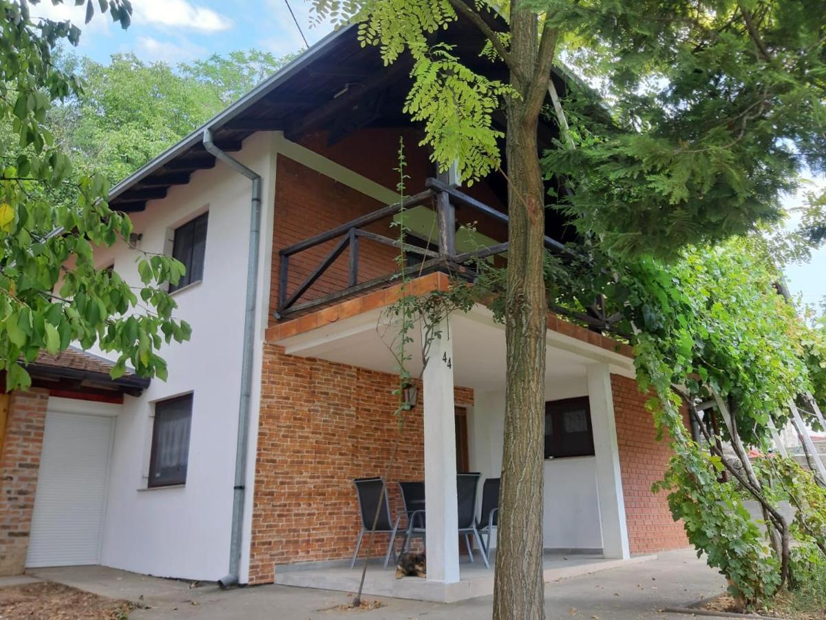 Kuca Za Odmor Stepanicevac 44 Aljmas Экстерьер фото